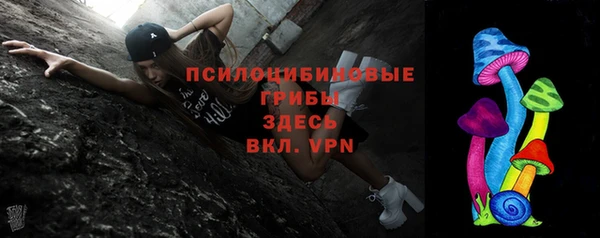 бошки Алзамай