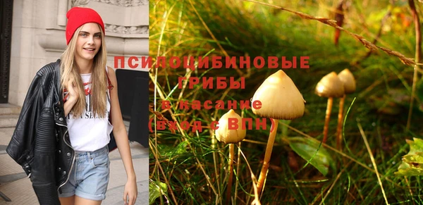 бошки Алзамай