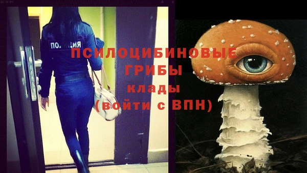 молекула духа Алексеевка