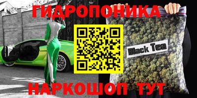 крисы Конаково