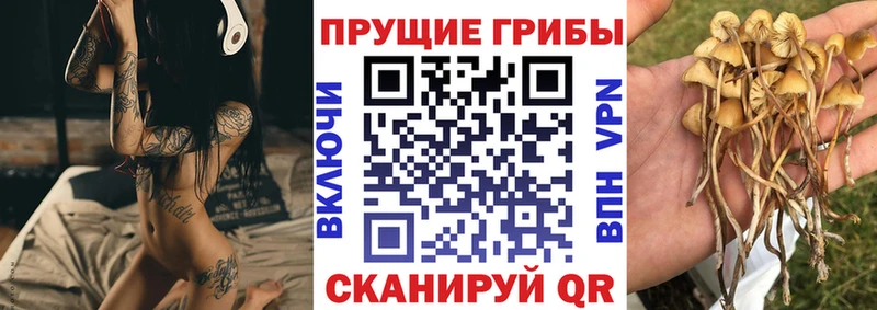 MEGA маркетплейс  Волоколамск  Псилоцибиновые грибы прущие грибы  хочу  