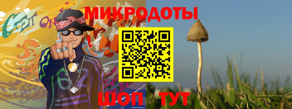 Псилоцибиновые грибы GOLDEN TEACHER  Псилоцибиновые грибы прущие грибы  Волоколамск  Вход с VPN 