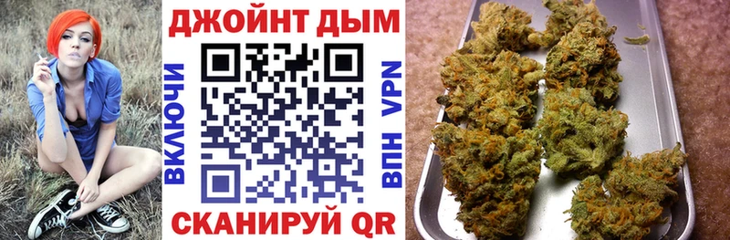 где купить наркоту  Волоколамск  Каннабис сатива 